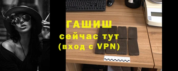 мдпв Богородск