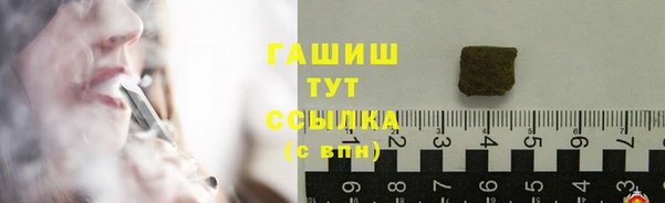 мдпв Богородск