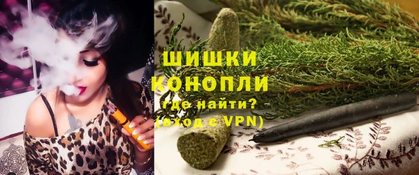 мдпв Богородск