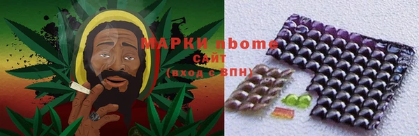 мдпв Богородск