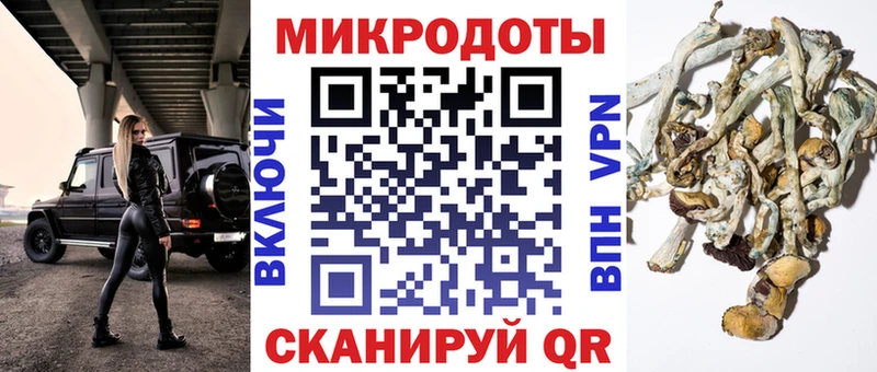 Псилоцибиновые грибы Cubensis  Елец 