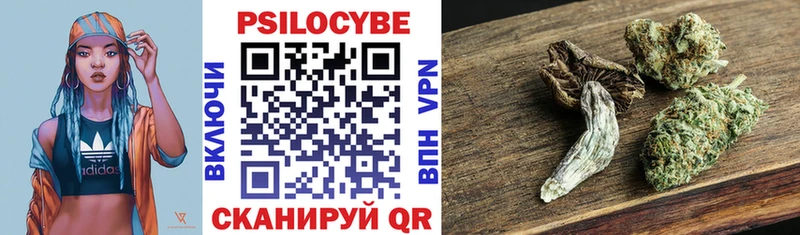 Псилоцибиновые грибы прущие грибы Елец